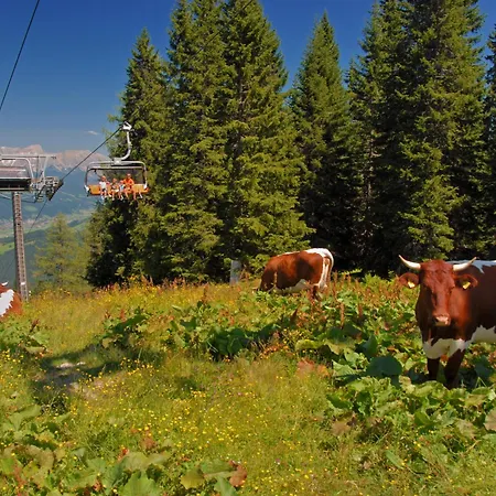 Dachstein-1 By Interhome דירה *
