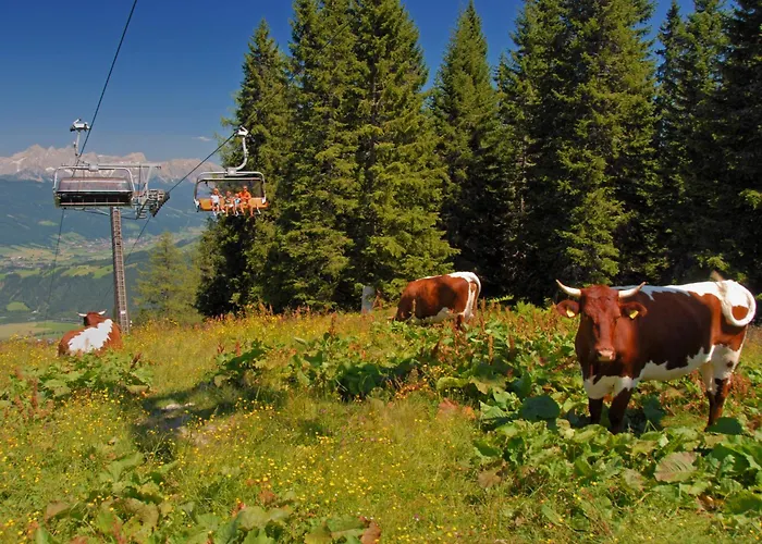 Dachstein 2 By Interhome Daire *